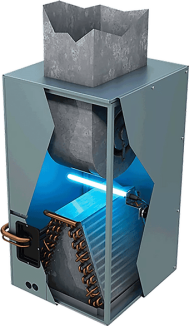 4395913df498f403441124c1c0d455f3 (1)